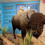 Buffalo Bill Museum and Lone Star Steamer Display