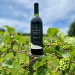 Olathea Creek Vineyard & Winery