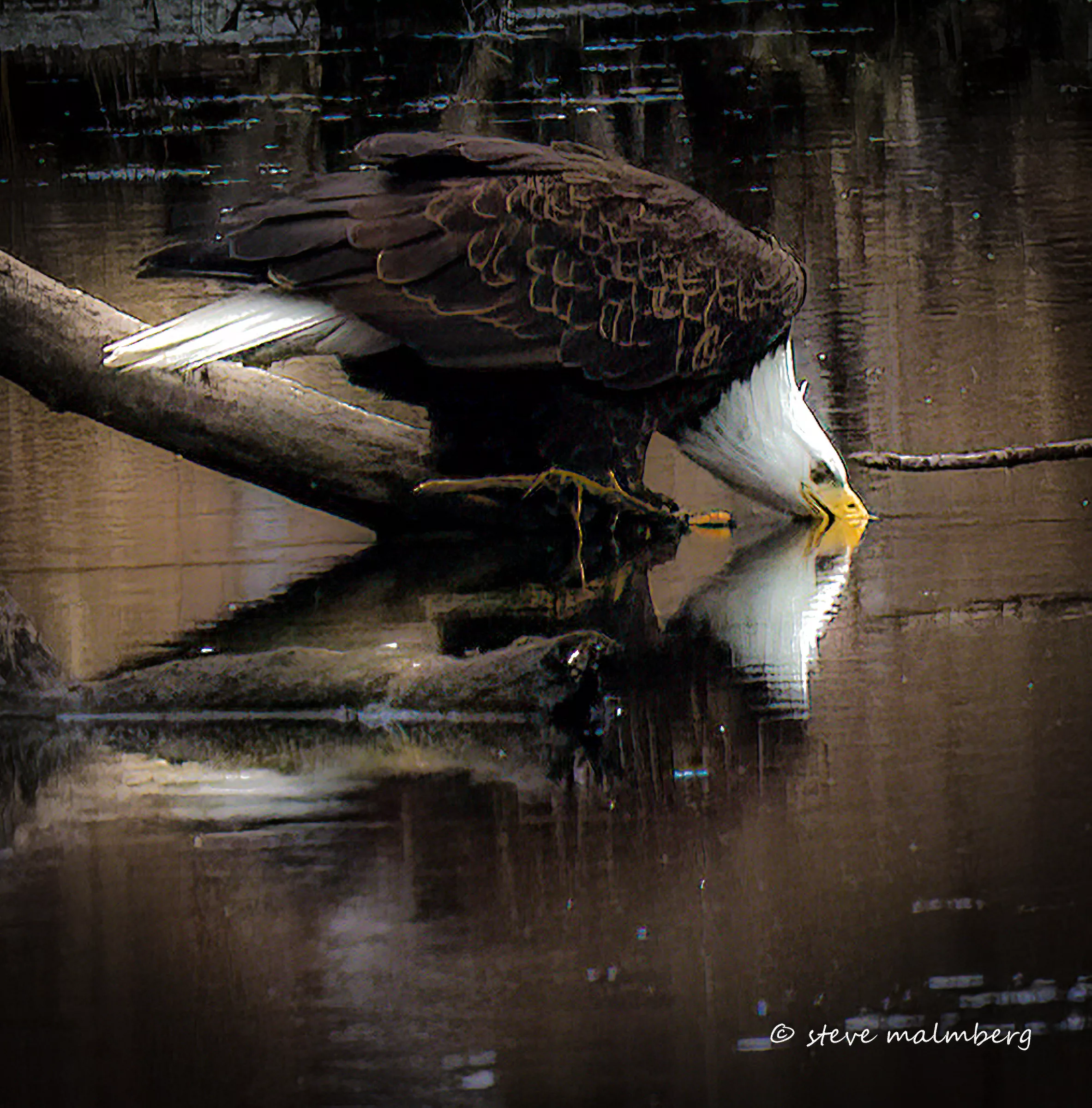LeClaire Eagle Festival LeClaire, Iowa