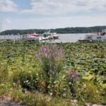 Green Gables II Marina